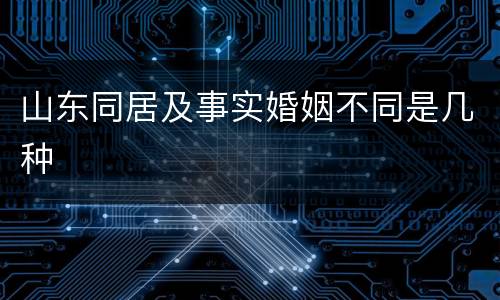 山东同居及事实婚姻不同是几种