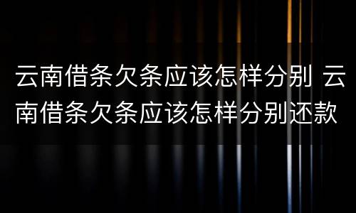 云南借条欠条应该怎样分别 云南借条欠条应该怎样分别还款