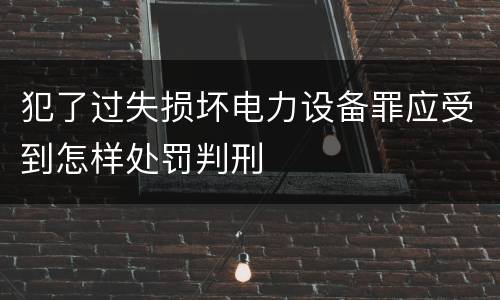 犯了过失损坏电力设备罪应受到怎样处罚判刑