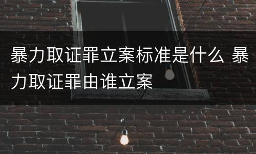 暴力取证罪立案标准是什么 暴力取证罪由谁立案