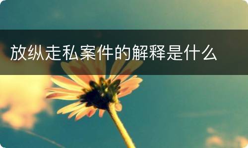 放纵走私案件的解释是什么