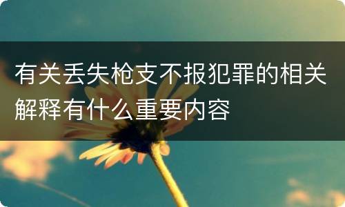 有关丢失枪支不报犯罪的相关解释有什么重要内容