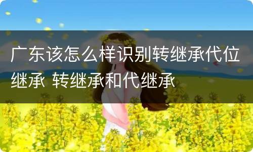 广东该怎么样识别转继承代位继承 转继承和代继承