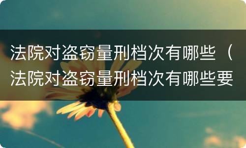法院对盗窃量刑档次有哪些（法院对盗窃量刑档次有哪些要求）