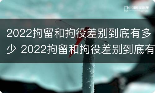 2022拘留和拘役差别到底有多少 2022拘留和拘役差别到底有多少呢