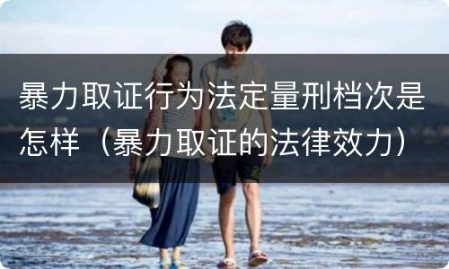 暴力取证行为法定量刑档次是怎样（暴力取证的法律效力）