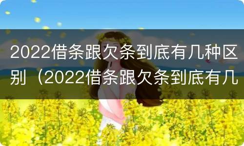 2022借条跟欠条到底有几种区别（2022借条跟欠条到底有几种区别呢）