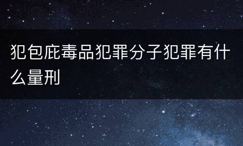 犯包庇毒品犯罪分子犯罪有什么量刑