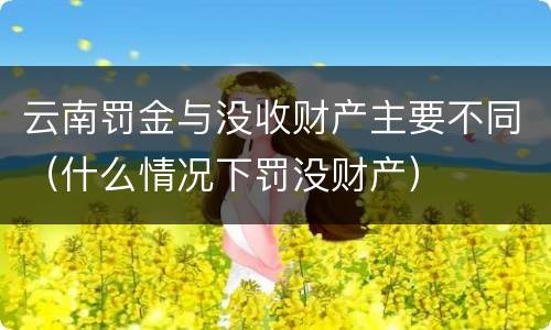 云南罚金与没收财产主要不同（什么情况下罚没财产）