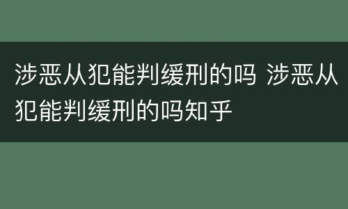 涉恶从犯能判缓刑的吗 涉恶从犯能判缓刑的吗知乎