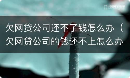欠网贷公司还不了钱怎么办（欠网贷公司的钱还不上怎么办）