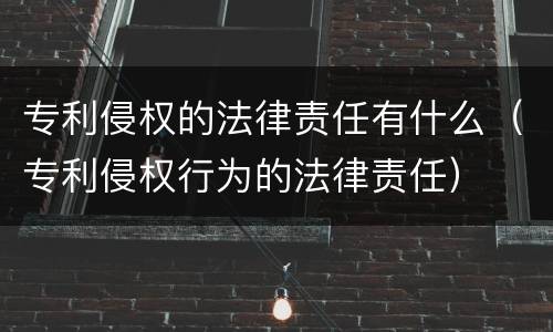 专利侵权的法律责任有什么（专利侵权行为的法律责任）