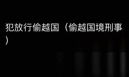 犯放行偷越国（偷越国境刑事）