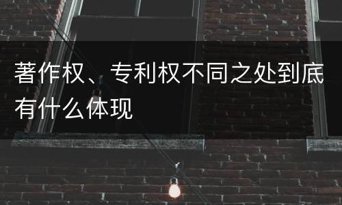 著作权、专利权不同之处到底有什么体现