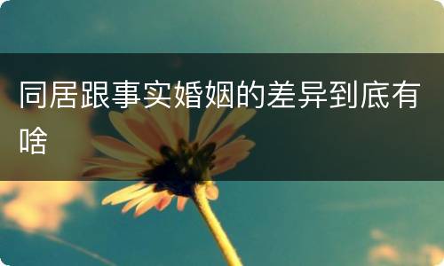 同居跟事实婚姻的差异到底有啥