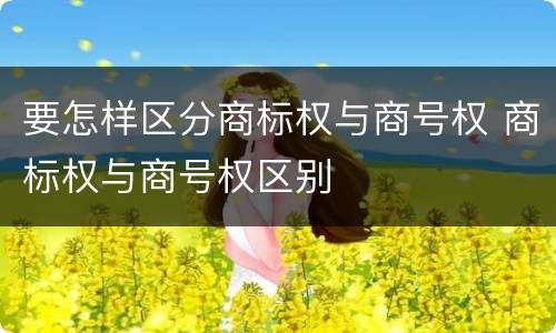 要怎样区分商标权与商号权 商标权与商号权区别