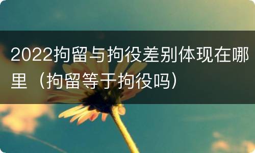 2022拘留与拘役差别体现在哪里（拘留等于拘役吗）