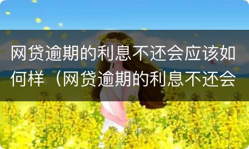 网贷逾期的利息不还会应该如何样（网贷逾期的利息不还会应该如何样处理）