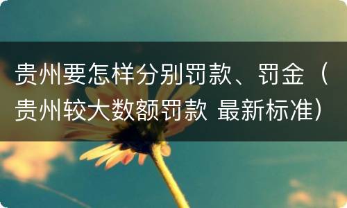 贵州要怎样分别罚款、罚金（贵州较大数额罚款 最新标准）