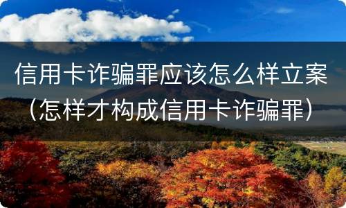 信用卡诈骗罪应该怎么样立案（怎样才构成信用卡诈骗罪）