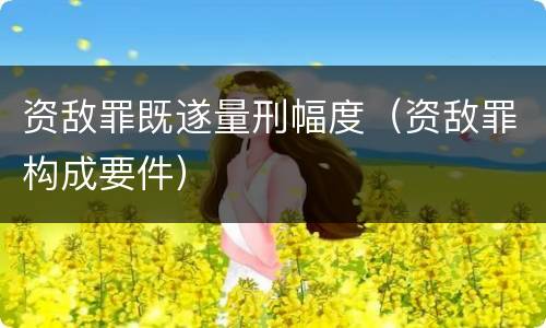 资敌罪既遂量刑幅度（资敌罪构成要件）