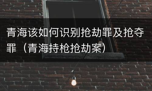 青海该如何识别抢劫罪及抢夺罪（青海持枪抢劫案）