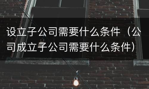 设立子公司需要什么条件（公司成立子公司需要什么条件）