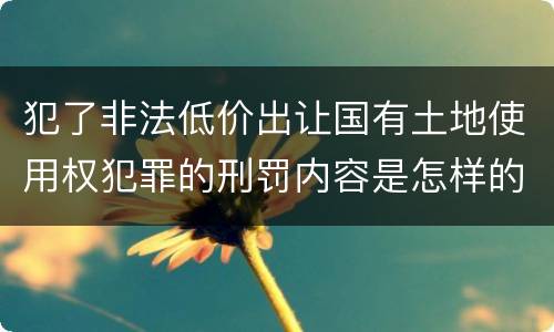 犯了非法低价出让国有土地使用权犯罪的刑罚内容是怎样的