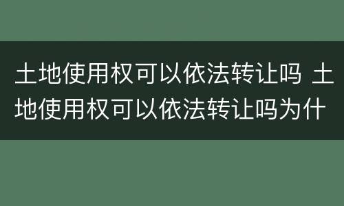 土地使用权可以依法转让吗 土地使用权可以依法转让吗为什么