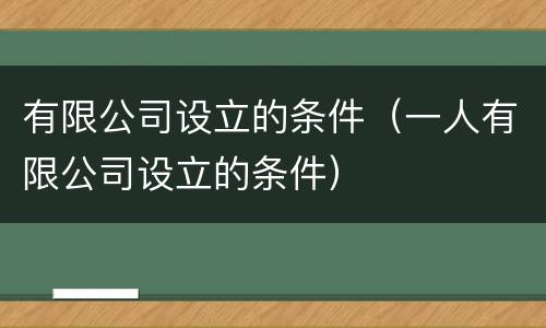 有限公司设立的条件（一人有限公司设立的条件）