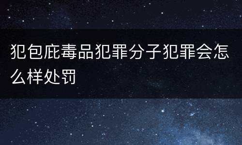 犯包庇毒品犯罪分子犯罪会怎么样处罚