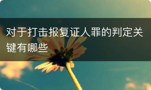 对于打击报复证人罪的判定关键有哪些