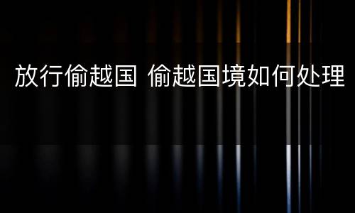 放行偷越国 偷越国境如何处理