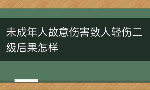 未成年人故意伤害致人轻伤二级后果怎样