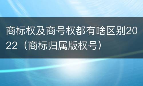 商标权及商号权都有啥区别2022（商标归属版权号）