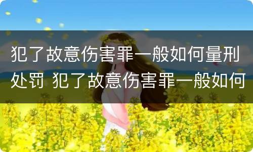 犯了故意伤害罪一般如何量刑处罚 犯了故意伤害罪一般如何量刑处罚呢