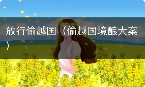放行偷越国（偷越国境酿大案）