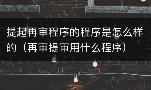 提起再审程序的程序是怎么样的（再审提审用什么程序）