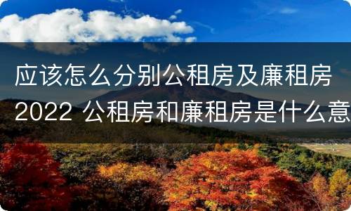 应该怎么分别公租房及廉租房2022 公租房和廉租房是什么意思