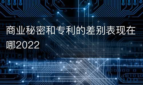 商业秘密和专利的差别表现在哪2022