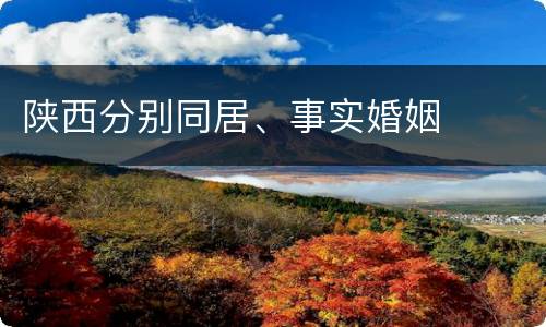 陕西分别同居、事实婚姻