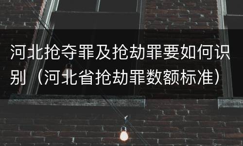 河北抢夺罪及抢劫罪要如何识别（河北省抢劫罪数额标准）