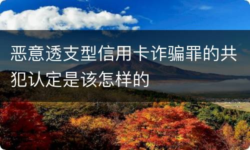 恶意透支型信用卡诈骗罪的共犯认定是该怎样的
