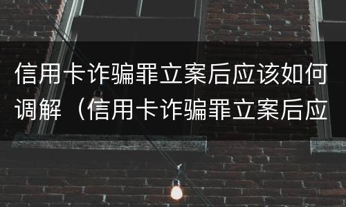 信用卡诈骗罪立案后应该如何调解（信用卡诈骗罪立案后应该如何调解案件）
