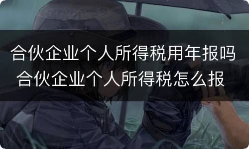 合伙企业个人所得税用年报吗 合伙企业个人所得税怎么报