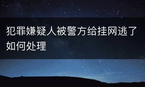 犯罪嫌疑人被警方给挂网逃了如何处理