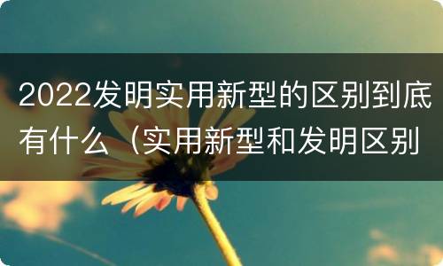 2022发明实用新型的区别到底有什么（实用新型和发明区别）