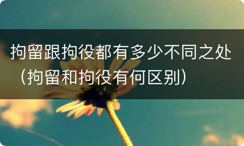 拘留跟拘役都有多少不同之处（拘留和拘役有何区别）