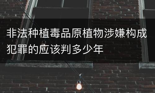 非法种植毒品原植物涉嫌构成犯罪的应该判多少年