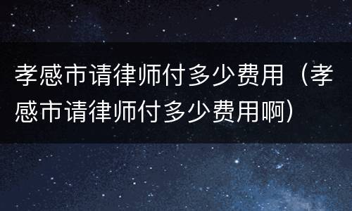 孝感市请律师付多少费用（孝感市请律师付多少费用啊）